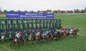 2020 Breeders' Cup Juvenile Turf Sprint Free Pick & Handicapping Odds | Betting Prediction