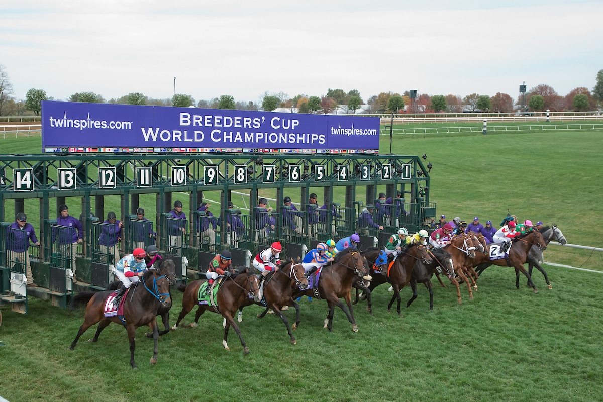 2020 Breeders' Cup Turf Free Pick & Handicapping Odds & Prediction