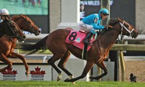 2020 EP Taylor Stakes Free Pick & Handicapping Odds | Betting Prediction