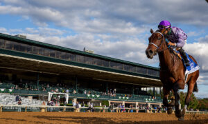 2020 Hagyard Fayette Stakes Free Pick & Handicapping Odds | Betting Prediction