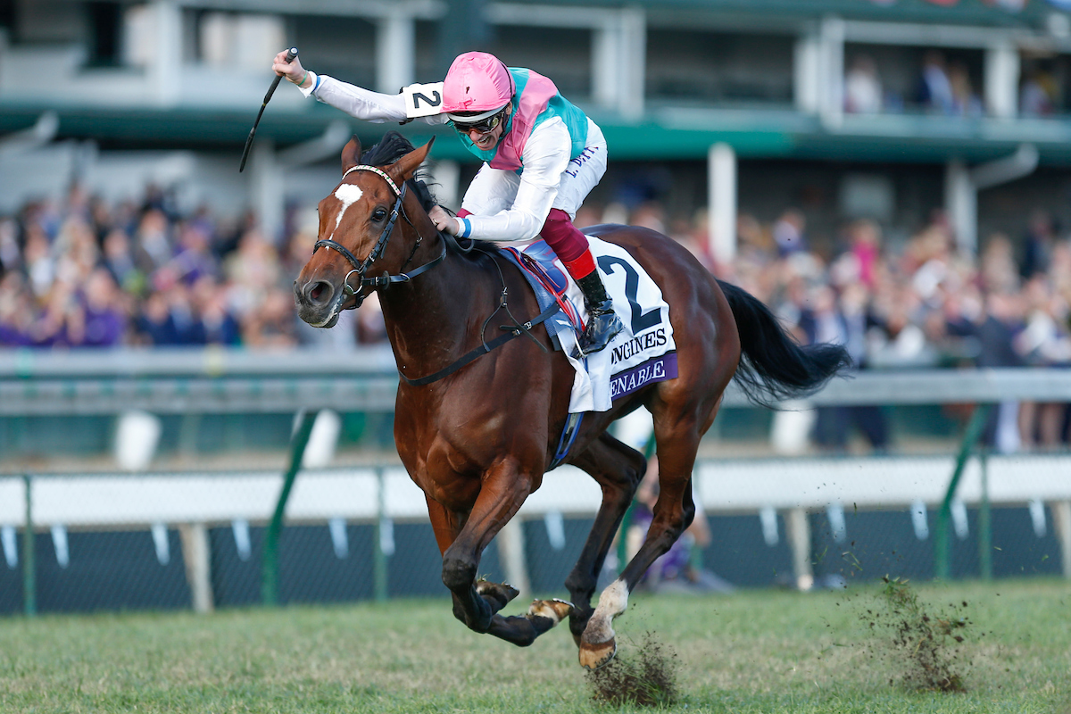 2020 Jessamine Stakes Free Pick & Handicapping Odds & Betting Prediction