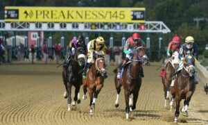 2020 Preakness Stakes Free Pick & Handicapping Odds & Betting Prediction