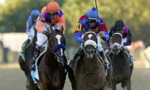 2020 Raven Run Stakes Free Pick & Handicapping Odds | Betting Prediction