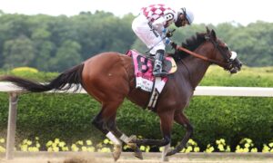 2020 Woodford Stakes Free Pick & Handicapping Odds & Betting Prediction