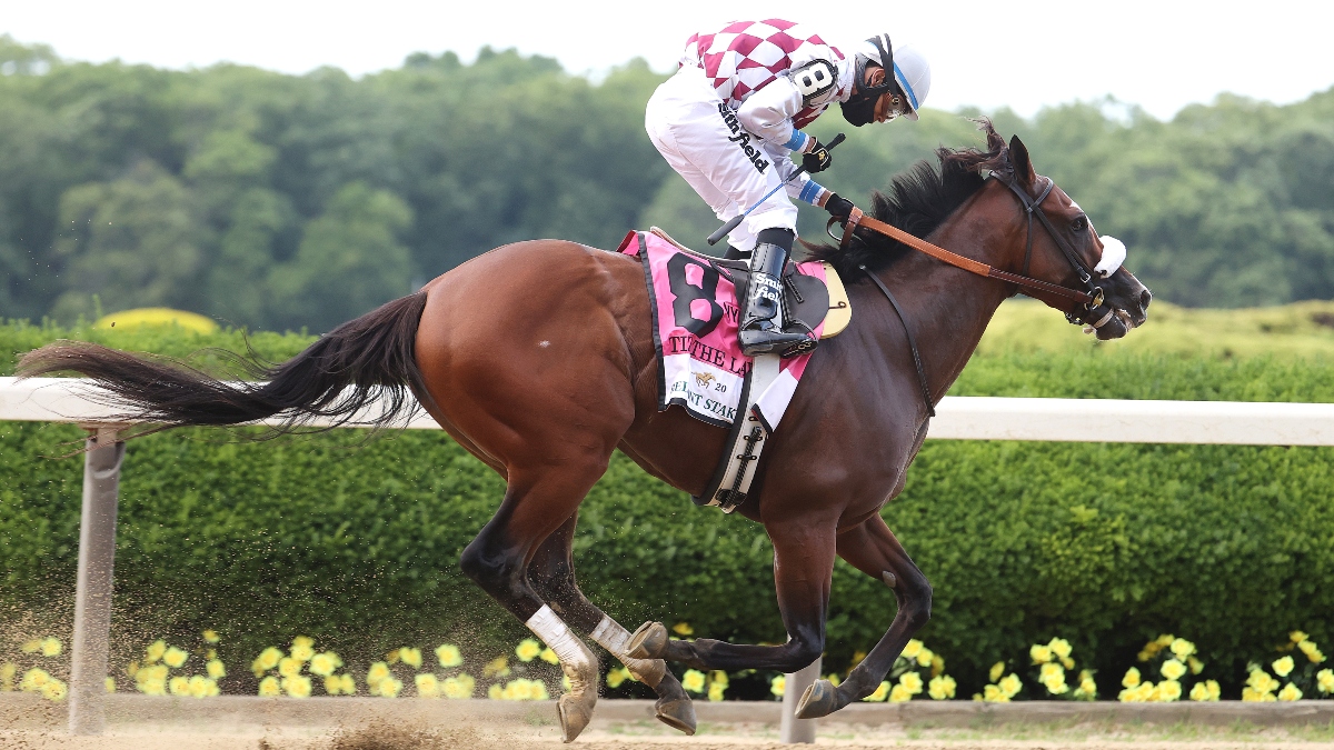 2020 Woodford Stakes Free Pick & Handicapping Odds & Betting Prediction