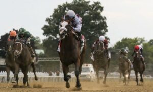 2026 Louisiana Derby Free Pick & Handicapping Odds & Prediction