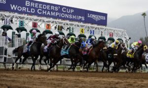 2025 Breeders' Cup Dirt Mile Free Pick & Handicapping Odds & Prediction