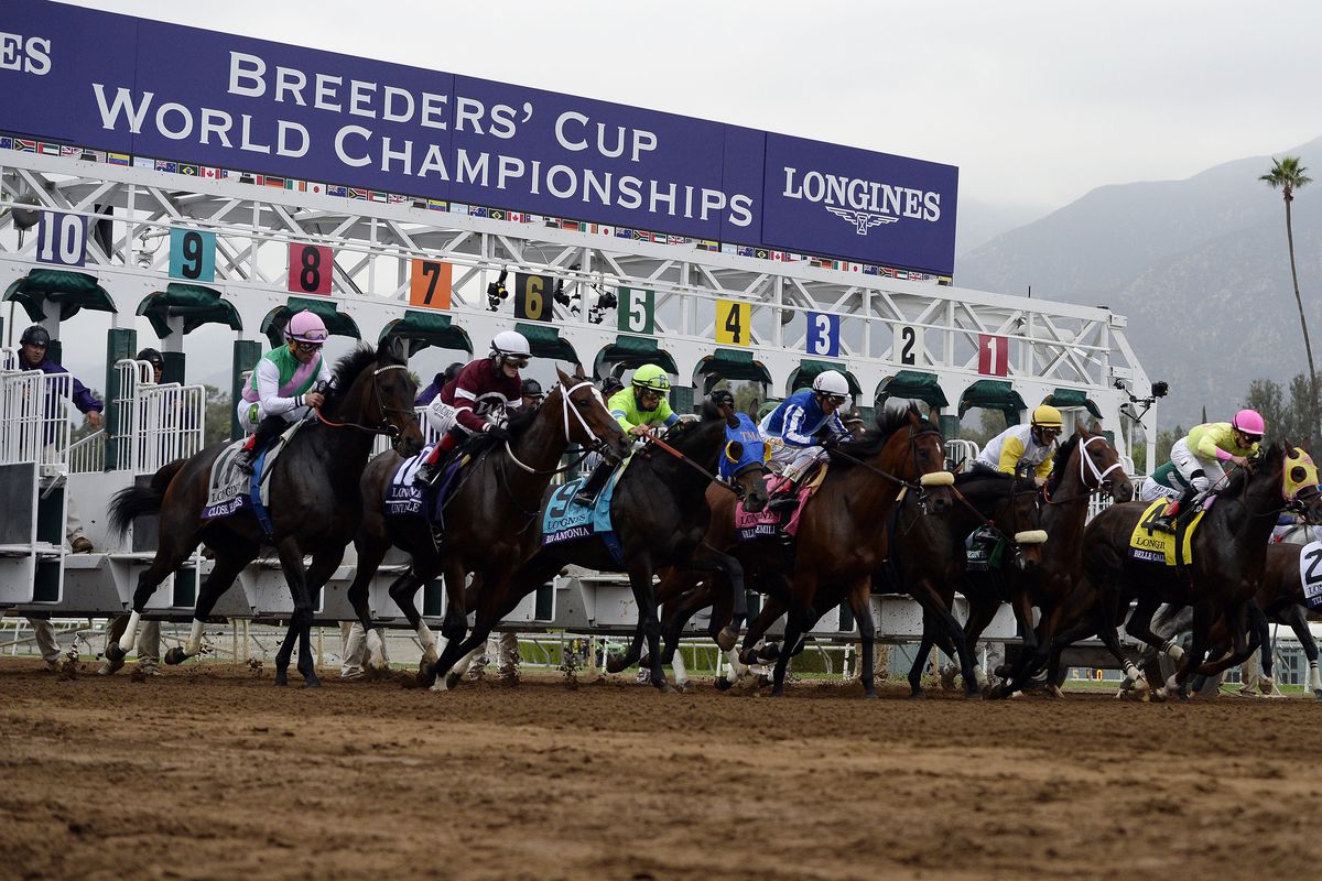 breeders cup mile betting odds