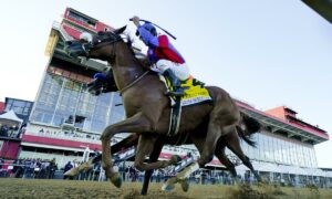 2026 Coaching Club American Oaks Stakes Free Pick & Handicapping Odds & Prediction