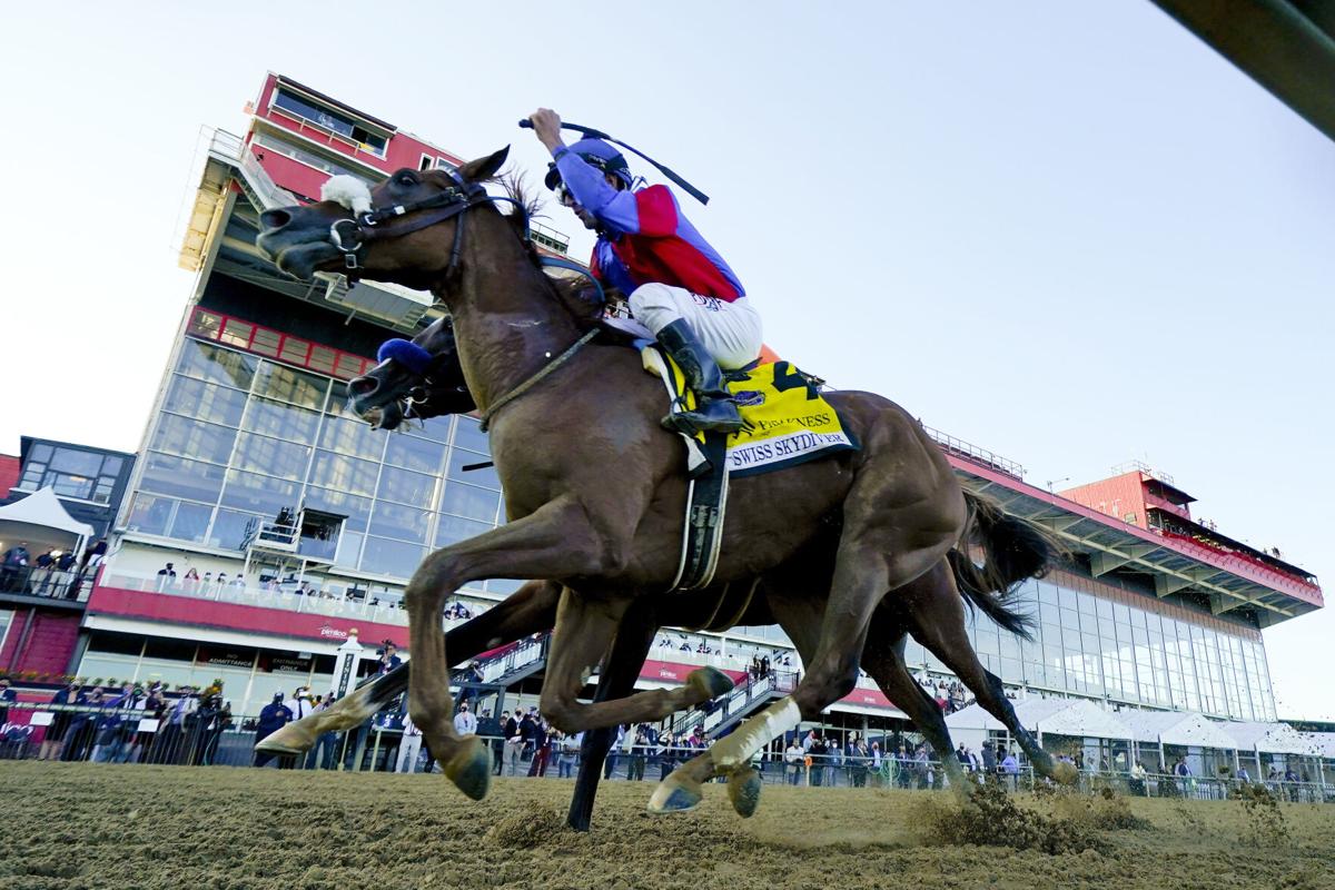 2020 Breeders' Cup Dirt Mile Free Pick & Handicapping Odds & Prediction