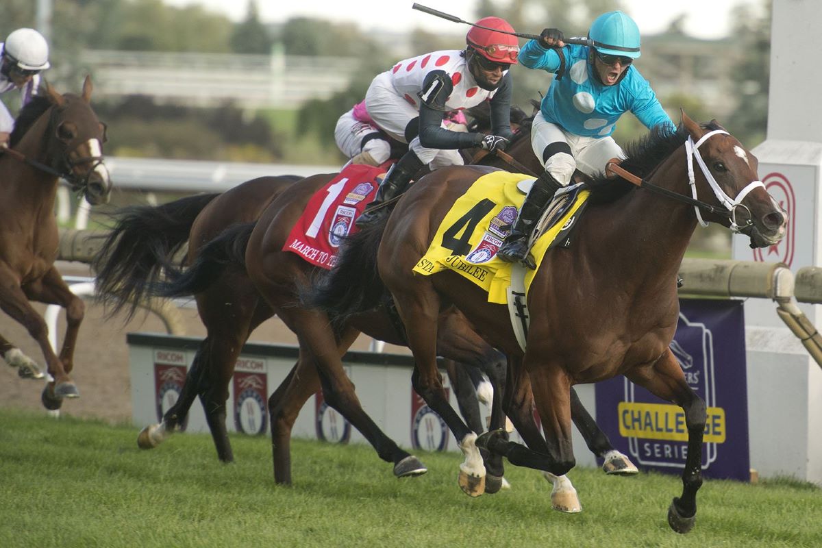 2020 Clark Stakes Free Pick & Handicapping Odds & Prediction