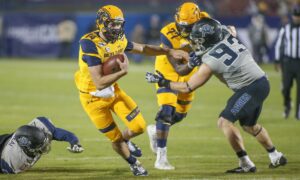 Akron Zips vs. Kent State Golden Flashes 11/19/2024 Free Pick & CFB Betting Prediction