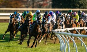 2020 Cigar Mile Free Pick & Handicapping Odds & Prediction