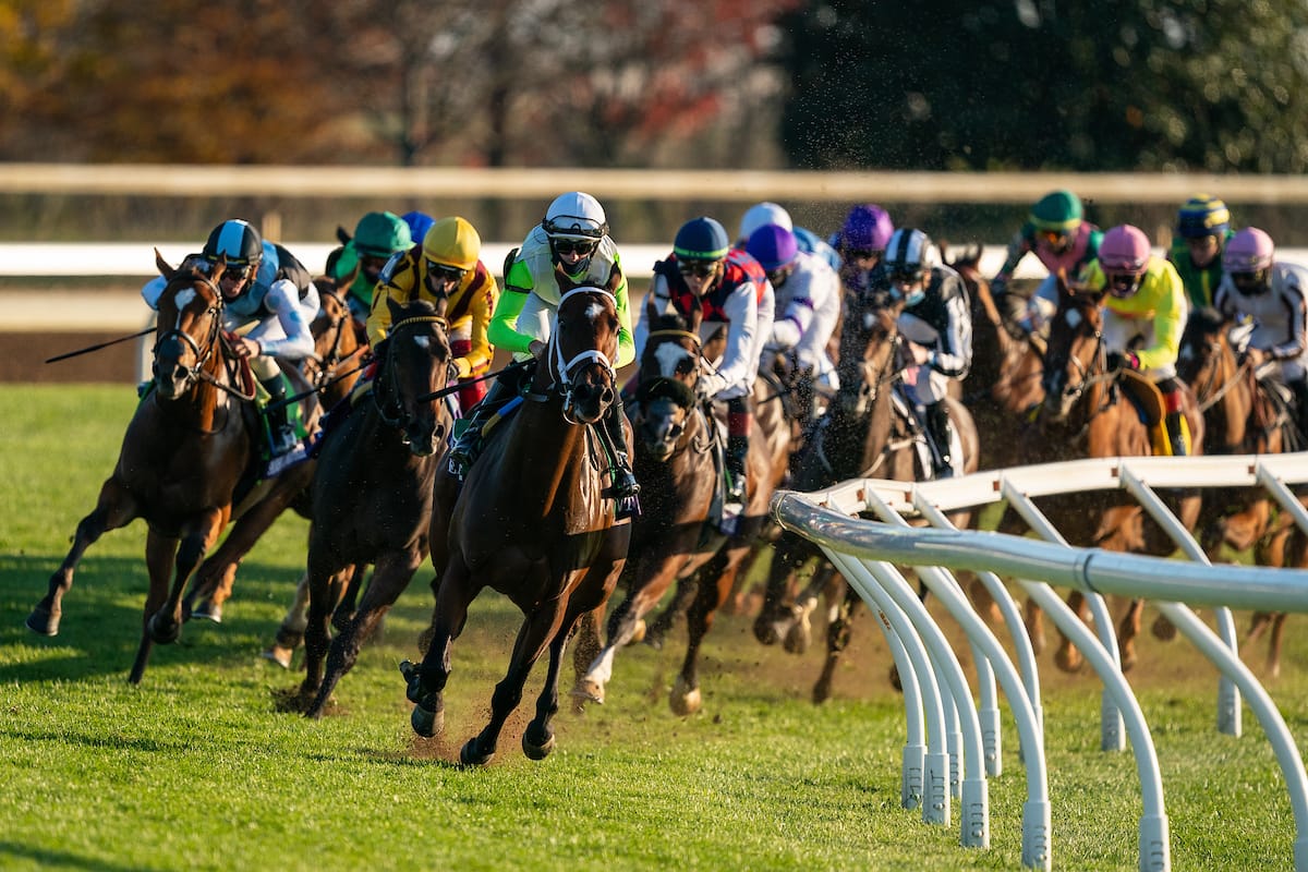 2020 Cigar Mile Free Pick & Handicapping Odds & Prediction