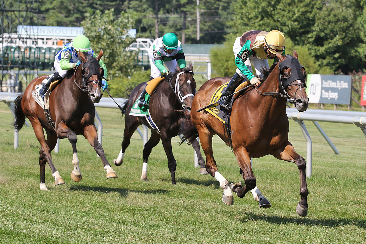 2020 Harlan's Holiday Stakes Free Pick & Handicapping Odds & Prediction