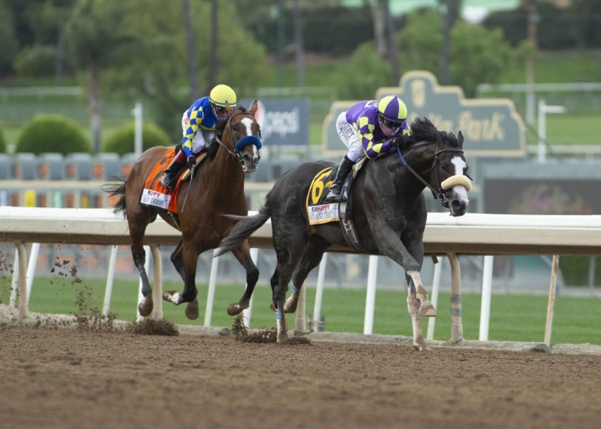 2020 Remington Springboard Mile Stakes Free Pick & Handicapping Odds & Prediction
