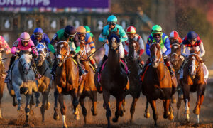 2022 Breeders' Cup Juvenile Fillies Free Pick & Handicapping Odds & Prediction