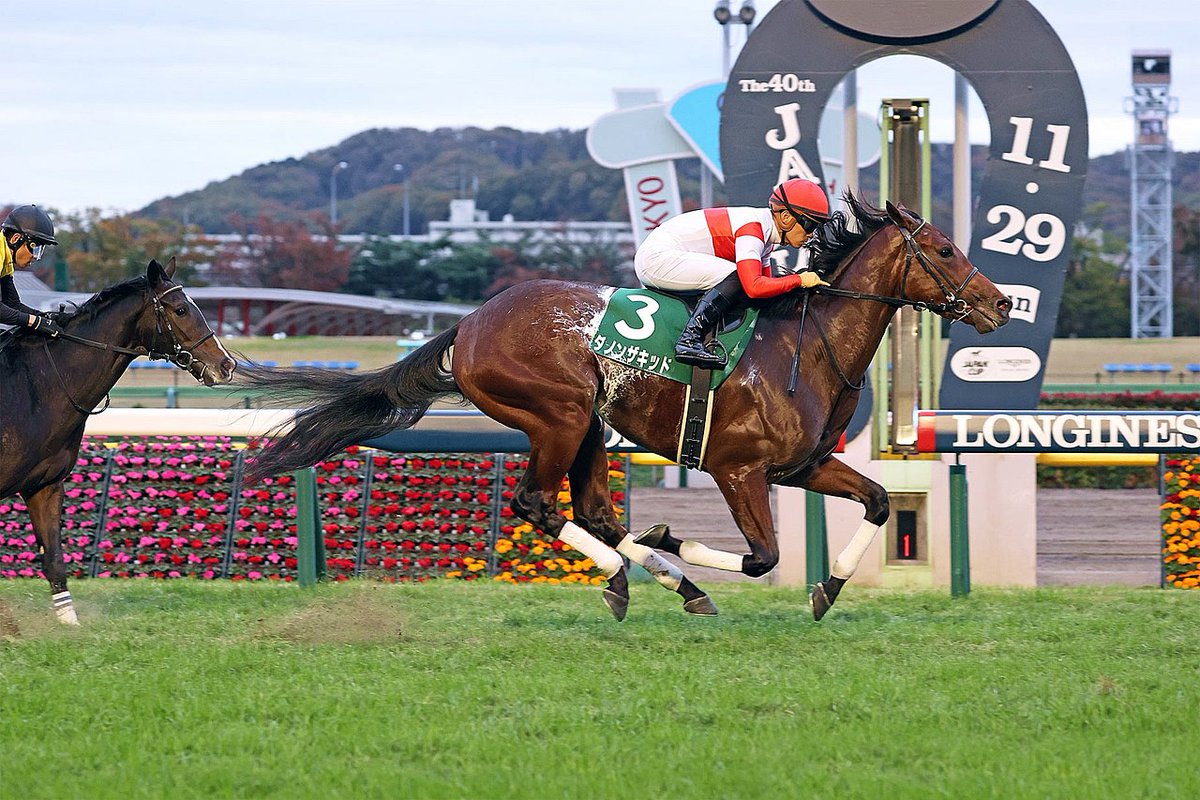 2020 San Antonio Stakes Free Pick & Handicapping Odds & Prediction