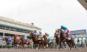2021 Holy Bull Stakes Free Pick & Handicapping Odds & Prediction
