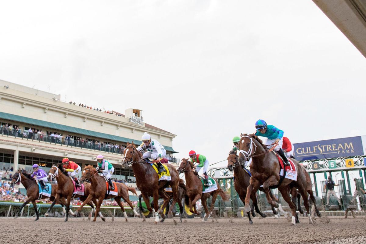2021 Holy Bull Stakes Free Pick Gulfstream Park, Offtrack Betting