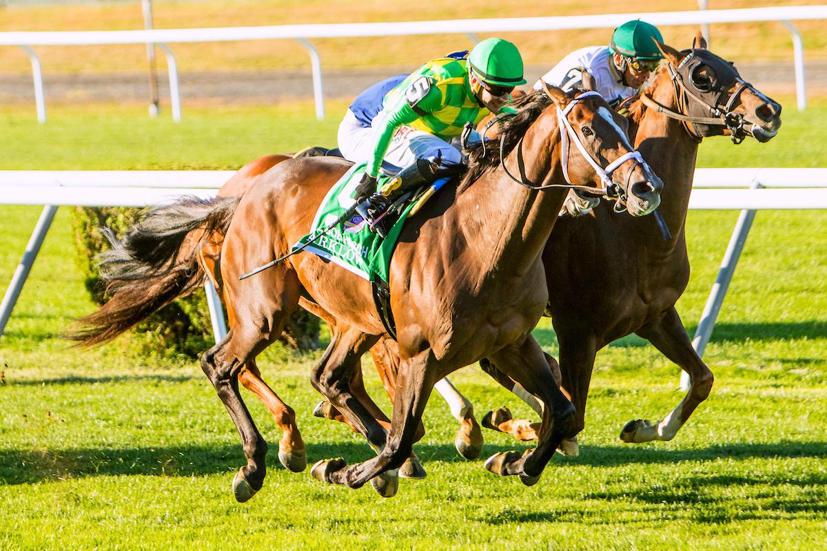 2021 Pegasus World Cup Stakes Free Pick & Handicapping Odds & Prediction