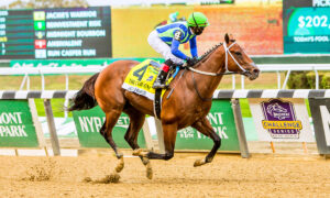 2023 Iroquois Stakes Free Predictions & Handicapping Picks