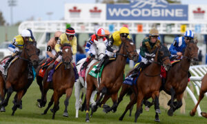 2021 Canadian Turf Stakes Free Pick & Handicapping Odds & Prediction