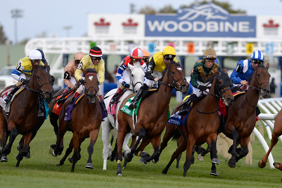 2021 Canadian Turf Stakes Free Pick & Handicapping Odds & Prediction