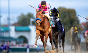 2022 Jerome Stakes Free Pick & Handicapping Odds & Prediction