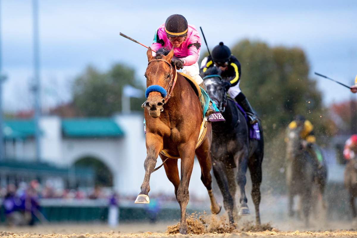 2021 Withers Stakes Free Pick & Handicapping Odds & Prediction