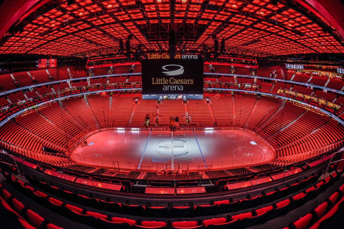 Arizona Coyotes vs. Detroit Red Wings 382022Free Pick, NHL Odds