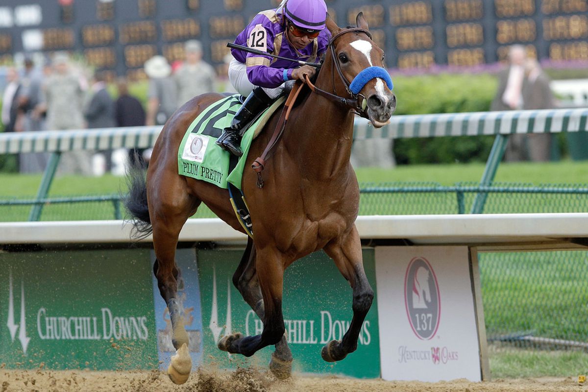 2021 Fair Grounds Oaks Free Pick & Handicapping Odds & Prediction