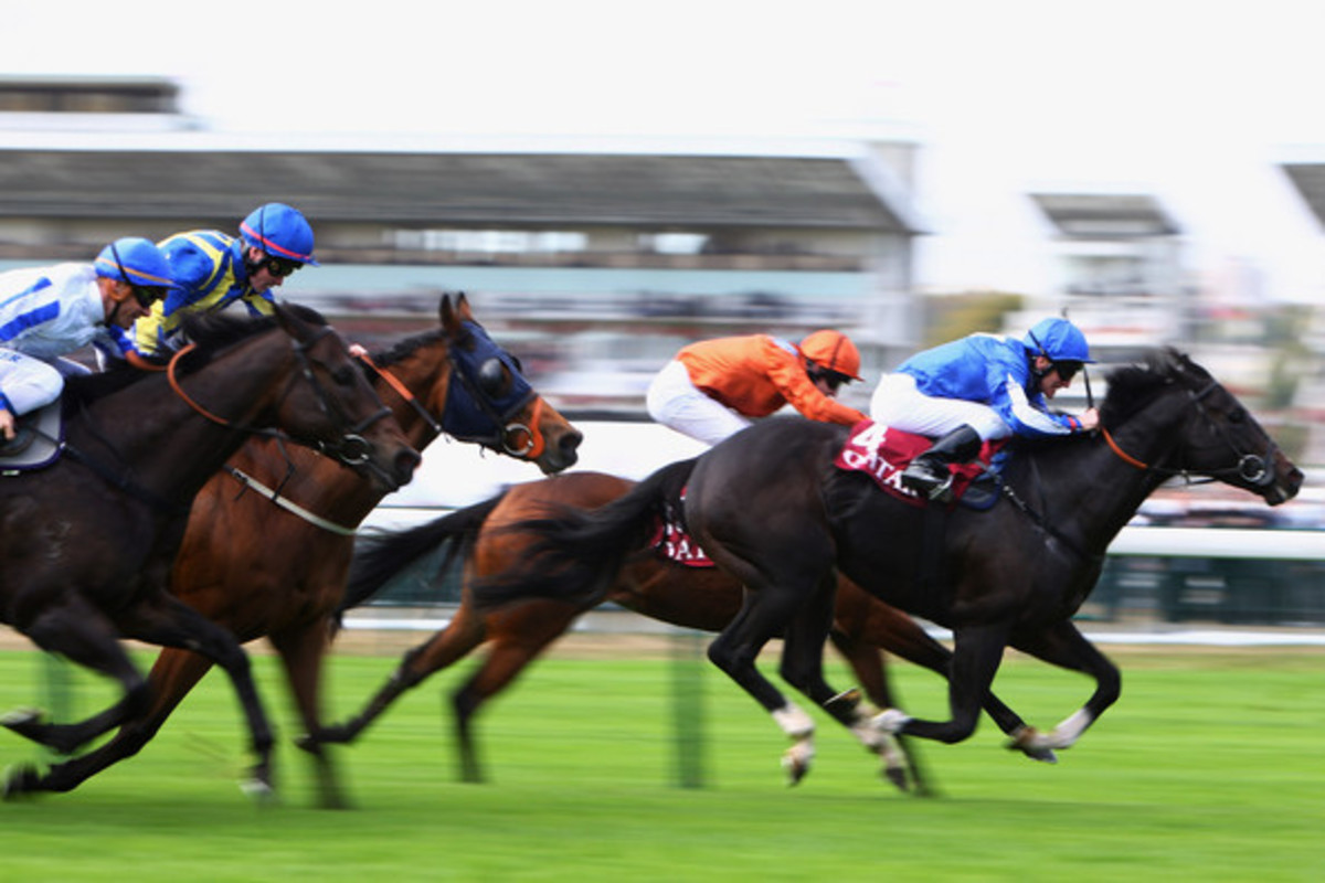 2021 Florida Derby Free Pick & Handicapping Odds & Prediction