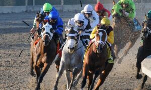 2021 Louisiana Derby Free Pick & Handicapping Odds & Prediction