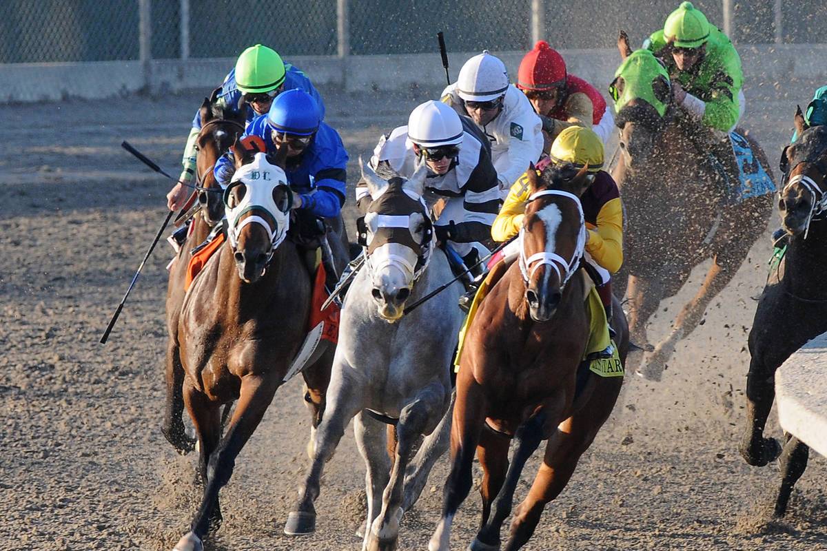 2021 Louisiana Derby Free Pick & Handicapping Odds & Prediction