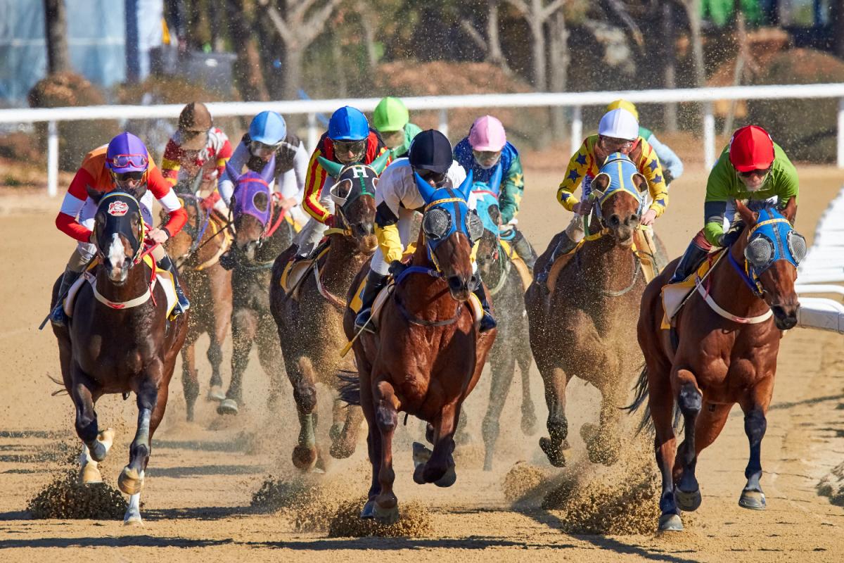 2021 Tampa Bay Derby Free Pick & Handicapping Odds & Prediction