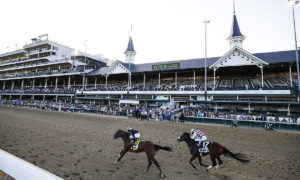 2021 Blue Grass Stakes Free Pick & Handicapping Odds & Prediction