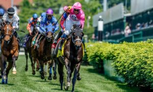 2021 La Troienne Stakes Free Pick & Handicapping Odds & Prediction