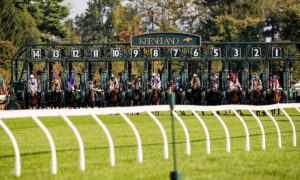 2026 Blue Grass Stakes Free Pick & Handicapping Odds & Prediction