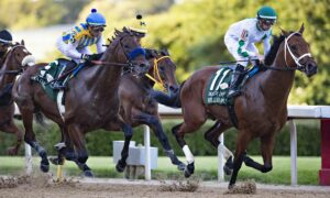 2021 Oaklawn Handicap Free Pick & Handicapping Odds & Prediction