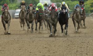 2021 Wood Memorial Stakes Free Pick & Handicapping Odds & Prediction