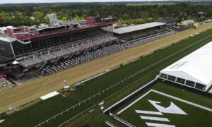 2021 Black-Eyed Susan Stakes Free Pick & Handicapping Odds & Prediction