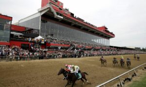 2021 Dinner Party Stakes Free Pick & Handicapping Odds & Prediction