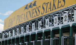 2021 Preakness Stakes Free Pick & Handicapping Odds & Prediction