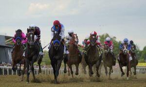 2021 Winning Colors Stakes Free Pick & Handicapping Odds & Prediction