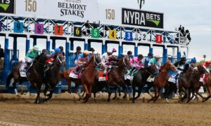 2021 Belmont Stakes Free Pick & Handicapping Odds & Prediction