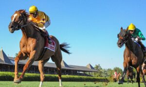 2021 Wise Dan Stakes Free Pick & Handicapping Odds & Prediction