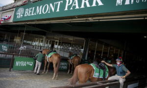 2021 Belmont Derby Invitational Free Pick & Handicapping Odds & Prediction