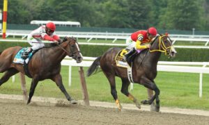 2021 Diana Stakes Free Pick & Handicapping Odds & Prediction