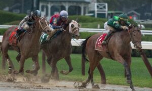 Alfred Vanderbilt Stakes